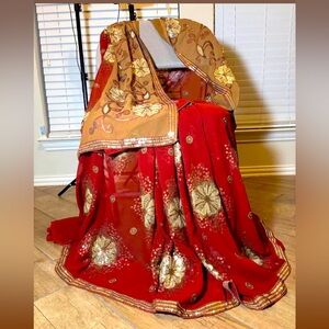 Indian/Pakistani party wear saree